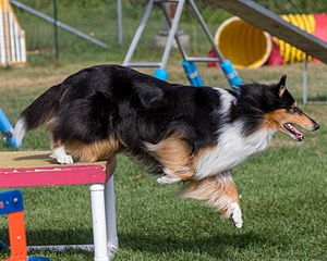 20200819-0580.jpg