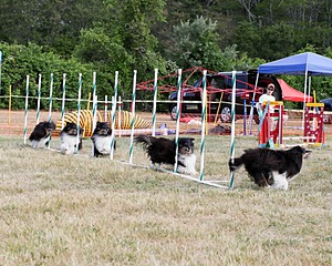 20150614-CCKCMC-0011.jpg