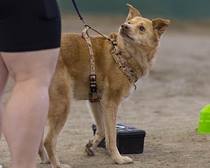 20260718-NSKC-0675.jpg