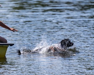 Liza Brogan