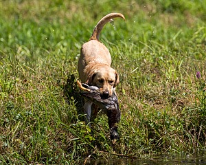 20200809-SHW-0005.jpg