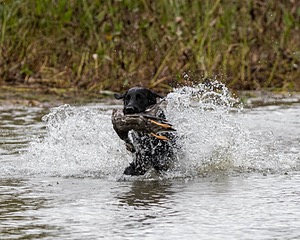 20161008-WCXW-0696.jpg