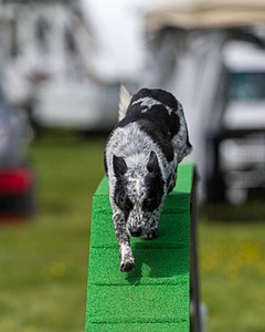 20170521-NEAT-0696.jpg