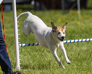 20170521-NEAT-0356.jpg
