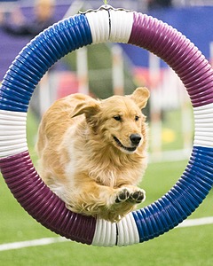 20150322-LEAP-0553.jpg