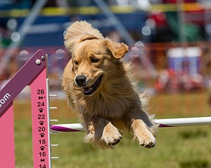 20190615-CCKC-1067.jpg