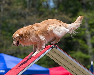 20150613-CCKC-0498.jpg