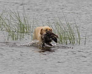 20080531-HRW-0449.jpg