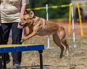 20160619-CCKC-1464.jpg