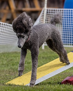 Aria Keenan