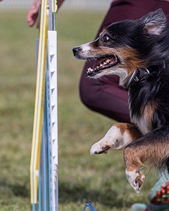 20230916-PVKC-1130.jpg