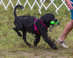 "Tango" & Cathy