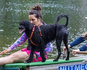 Ziva Hyres