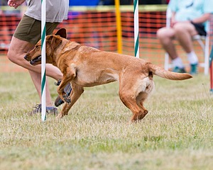 20150612-CCKC-0044.jpg