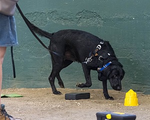 20260718-NSKC-0698.jpg