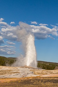Old Faithful, Yellowstone National Park