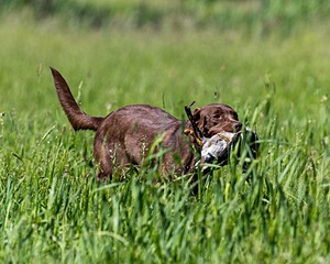 20210605-SHL-1470.jpg