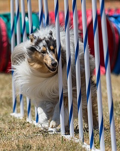 20160618-CCKC-1046.jpg