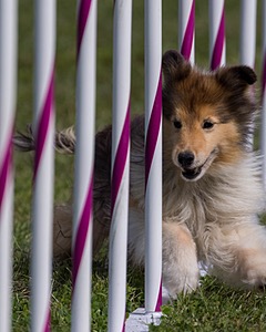 20230916-PVKC-1097.jpg