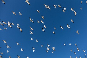 20151206-3383.jpg