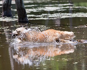 20130602-SEAW-0481.jpg