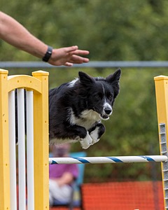 20200819-1531.jpg