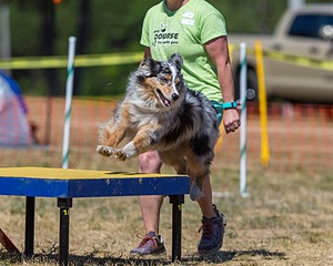 Pemi Lafave-Saletnik