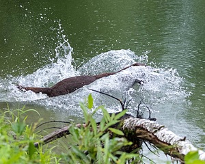 20210725-SHW-0037.jpg