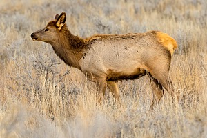20151204-0562.jpg