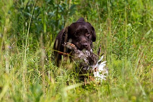20160717-WCL-0199-2.jpg