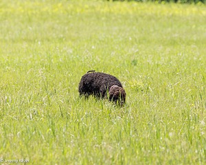 20220613-WD-0127.jpg