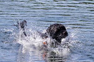 20220806-CWD-0074-2.jpg