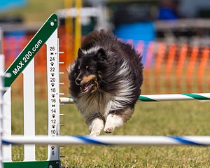 20180617-1397.jpg