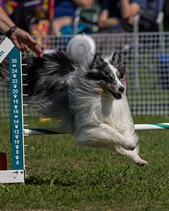 20220917-PVKC-0055.jpg