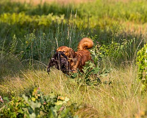 20210807-SHL-0040.jpg