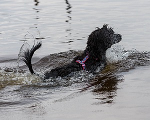 "Whimsy" & Alex
