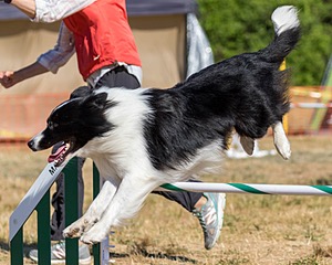 20160619-CCKC-0215.jpg