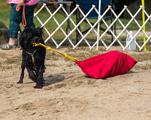 20210912-WWD-0713.jpg