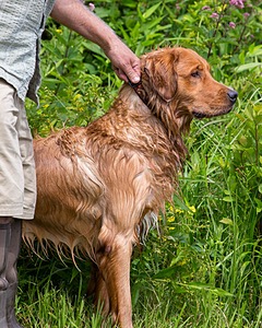 Rupert Porter