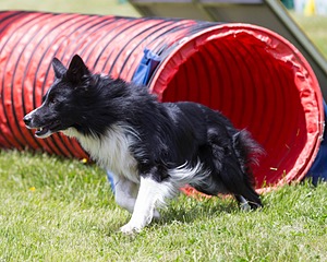 20160514-NEAT-0717.jpg