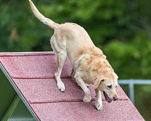 20200819-1856.jpg