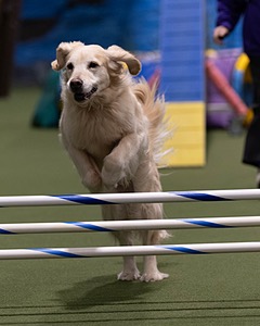 20260221-0624.jpg