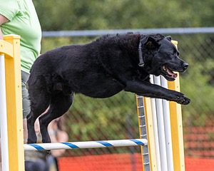 20200819-1124.jpg