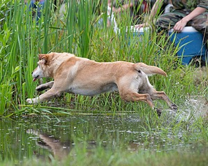 20130713-MHB2-0016.jpg