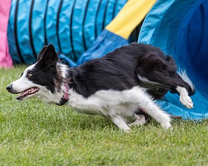 20200819-1912.jpg