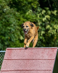20200819-0744.jpg