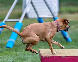 20200819-2830.jpg