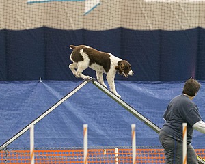 20150321-LEAP-1432.jpg