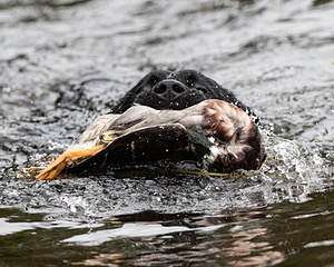 20171008-WCW-1037.jpg