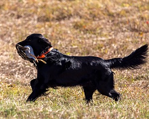 20221008-WCL-0002-Edit.jpg